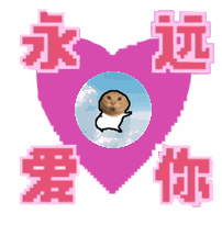 meme love_you